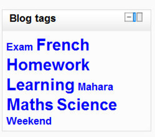 Figure 14-3 Blog tags block