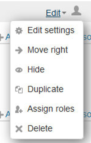 Figure 3-14 Edit Menu of an activity