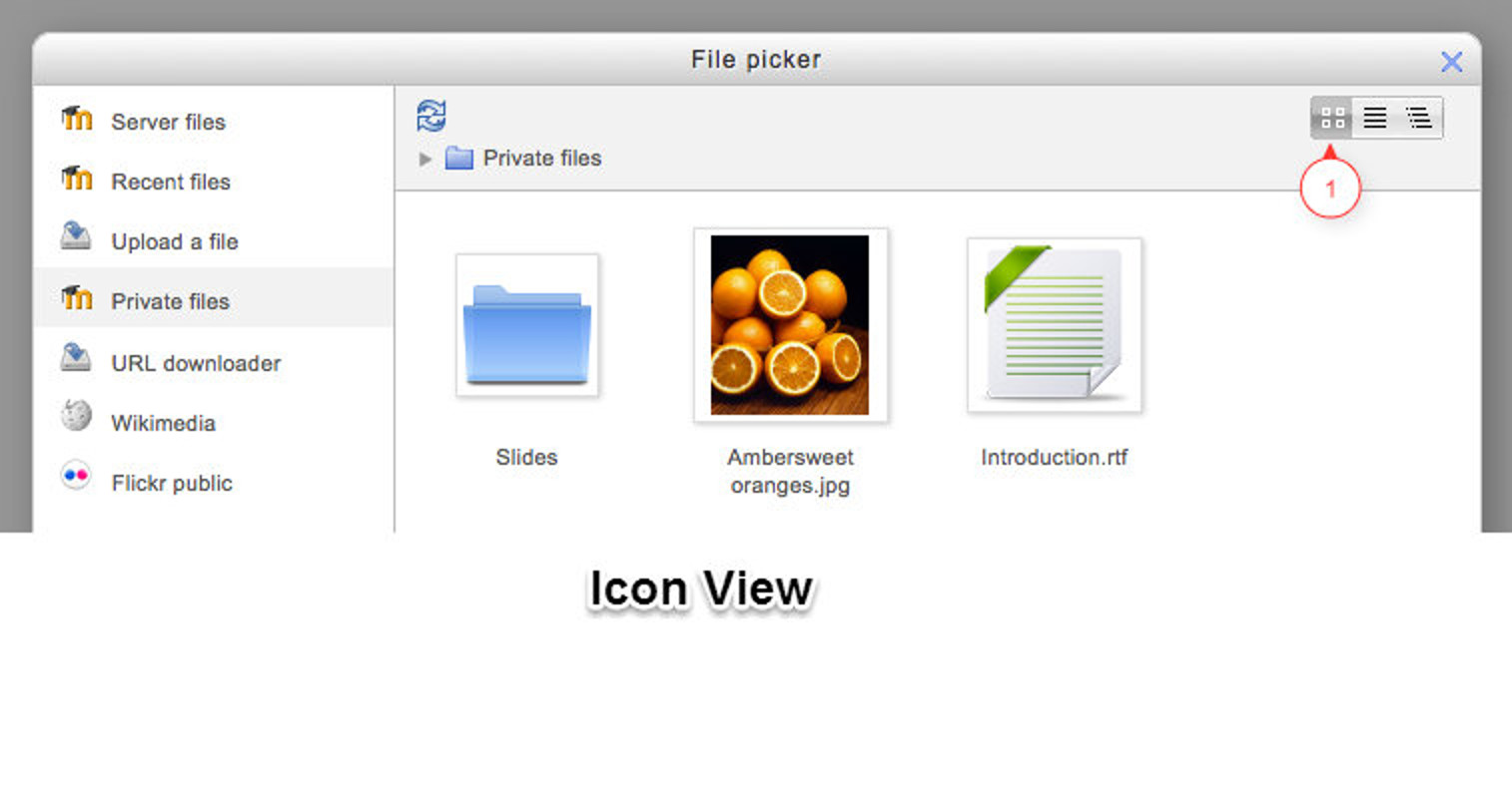 Figure 6-9 Viewing files as  icons